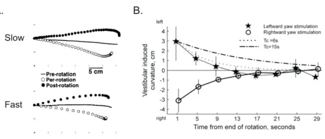 Figure 1.5. Vestibular contributions to dynamic compensations for body motion during reaching