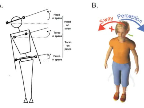 Figure 1.7. The effects of bipolar binaural galvanic vestibular stimulation on posture and motion 