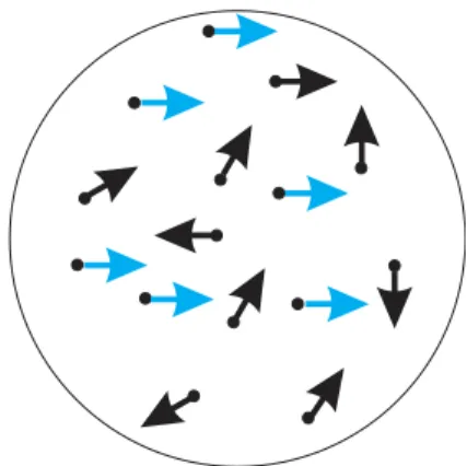 Figure I.2: Random dot kinematogram 