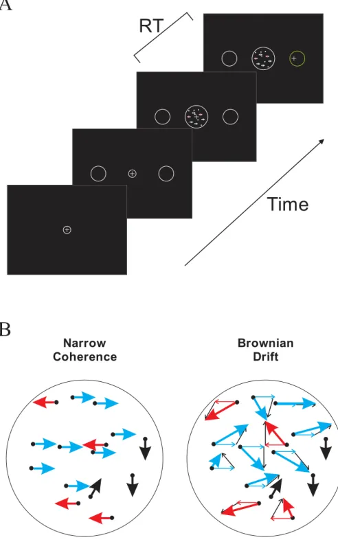 Figure 1: Experimental paradigm