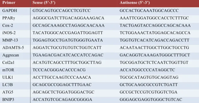 Table xi- Primers list. The sequence of the mouse specific sense and antisense primers