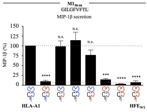 Figure  13  (3 m1 ).  The  α1-2  domains  of  HFE WT   are  required  for  inhibition  of  CD8 +   T  lymphocyte activation