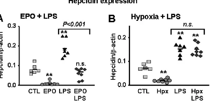Figure  2  Erythropoietin  but  not  hypoxia  inhibits  hepcidin  induction  through  the  inflammatory pathway