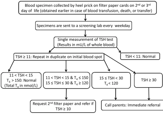 Figure 7: Screening algorithm for CH in Quebec (adapted from Deladoëy et al., 2011). 