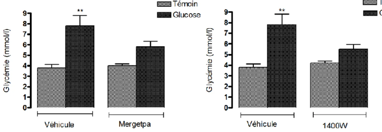 Fig.  17  :  Effets  d’un  traitement  d’une  semaine  avec    le  Mergetpa  (1mg/kg  x  2  fois/  jour)  ou  le  1400W (1mg/kg x 2 fois/ jour) sur l’indice HOMA, calculée en fonction des valeurs de la glycémie  et de l’insuline à jeun selon : HOMA (mmol/L