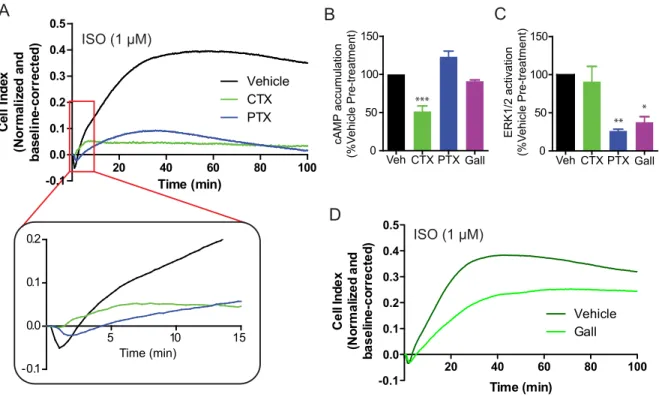 Figure	  3	  -­‐	  Contribution	  of	  G S ,	  G i ,	  and	  G β/γ	  to	  the	  ISO-­‐promoted	  impedance	  response.	  