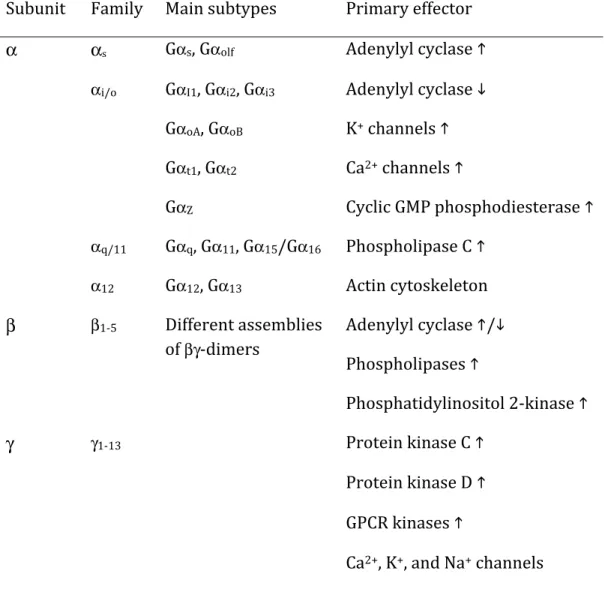 Table	  1:	  Heterotrimeric	  G	  proteins	  and	  their	  signalling	  properties.	  	  