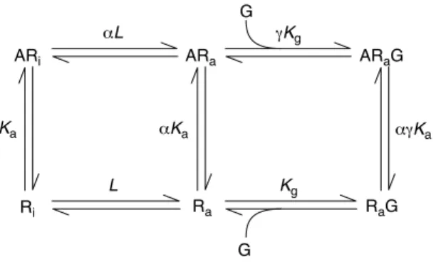 Figure I. Response according to the extended ternary complex model for G-protein-coupled receptors (GPCRs)