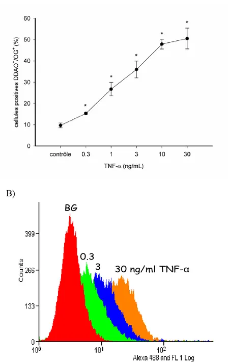 Figure  8:  A)  Quantification  de  l'interaction  Ramos-Fb  suite  à  une  stimulation  préalable  des  Fbs avec des concentrations croissantes de TNF-α (*p  0.05 vs contrôle)