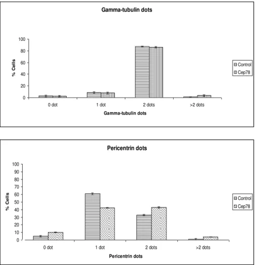 Figure 11 : CEP78 overexpression does not affect Gamma-tubulin and Pericentrin dots. 