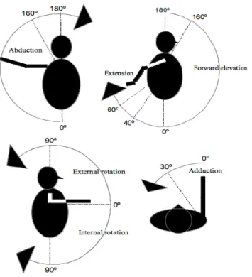 Figure 2: Range of Motion around the Shoulder Joint: Flexion/Extension,  Abduction/Adduction, and External/Internal Rotation  