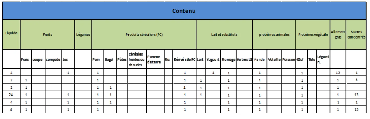 Figure 6. Exemple grille de codage – Analyse du contenu par item 