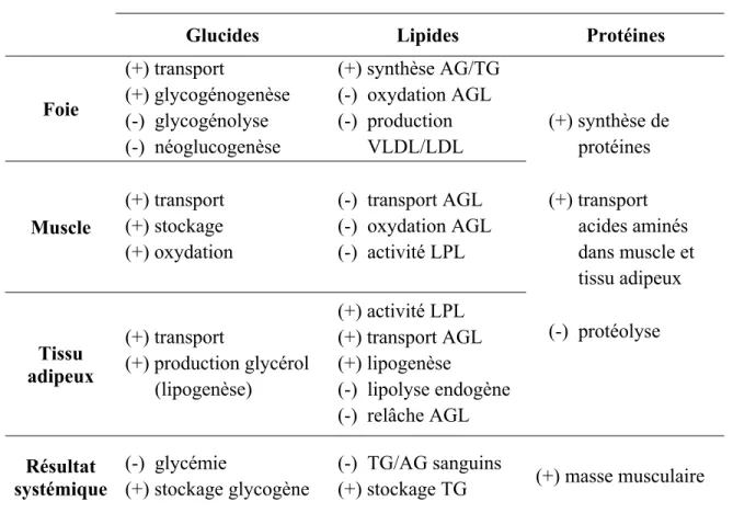 Tableau I : Effets de l’insuline sur les tissus cibles selon le substrat 