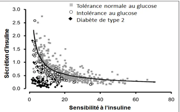 Figure 1 : La relation hyperbolique de la glycémie 