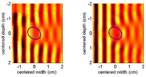 Figure  3.6  Experimental  (left)  and  theoretical  (right)  stationary  displacement  maps  obtained by using the solution of the inverse problem at 300 Hz (phantom B with a hard  inclusion)