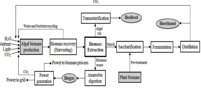 Figure 2.1 Integrated system for biodiesel, bioethanol, biogas and power generation  production