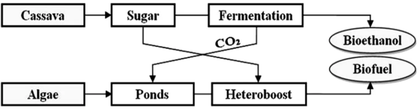 Figure 2.2 Phycal integrated advanced technology. 