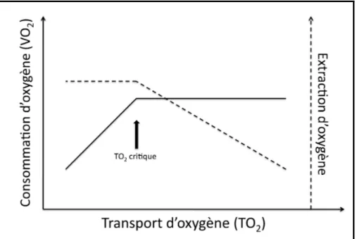 Figure 1. Relation entre le transport en oxygène, la consommation d’oxygène et l’extraction  d’oxygène par les cellules