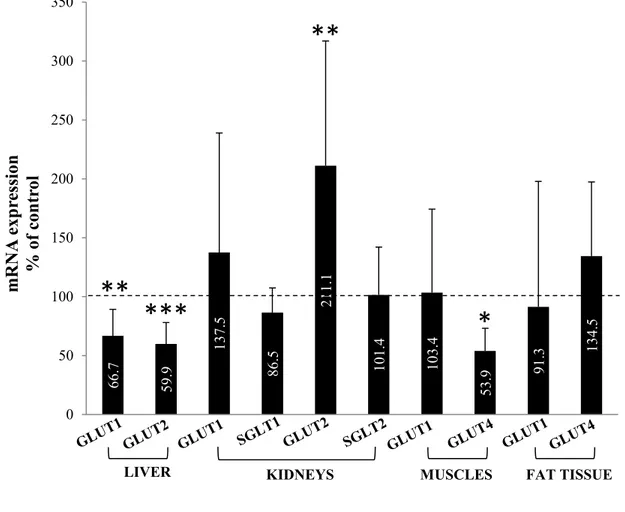 Figure 2 | mRNA expression of select organs’ glucose transporters in CRF rats. 