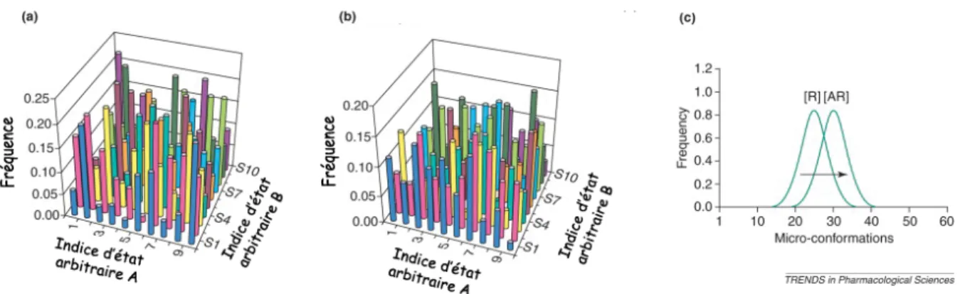 Figure 4 : Illustration du modèle probabiliste de l’état d’activation des RCPG. A) présente  l’état basal du récepteur et b) l’état en présence d’un ligand