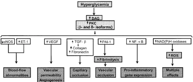 Figure 11. Conséquences métaboliques de l’hyperglycémie. Tirée de Brownlee 2005 (105)