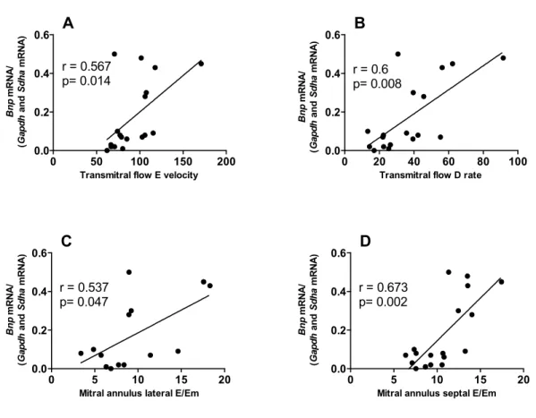 Figure 8 : Corrélations entre le niveau de l’expression cardiaque de l’ARNm du gène  Bnp et les différents paramètres échocardiographiques