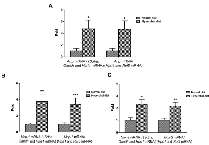 Figure  9.  Niveaux d’ARNm des gènes  Anp  (A), Mcp-1 (B) and Nox-2 (C) chez les  groupes normal (n=7) et hypercholestérolémique (n=11 à l’exception de Anp n=10) normalisés  sur les paires de gènes de référence sélectionnées par geNorm (à gauche) et Normfi
