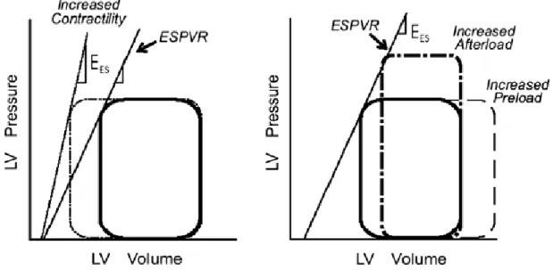 Figure 2 : Les réponses du VG à des augmentations de la précharge, la postcharge et la  contractilité dans le plan pression-volume