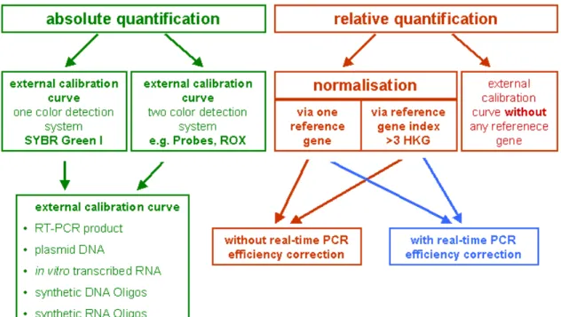 Figure 7 : Différentes stratégies de quantification en RT-qPCR en temps réel. Adaptée  de [136]
