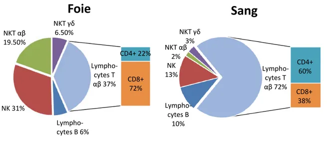 Figure 2  Populations lymphoïdes hépatiques et sanguines chez l’humain. Les  différences populationnelles montrent clairement le caractère immunologique unique du  foie, qui possède une plus grande proportion de cellules du système immunitaire inné et de  