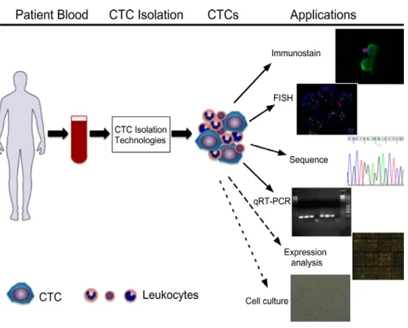 Figure 5 : Illustration des technologies disponibles pour l’isolement  des CTC.  