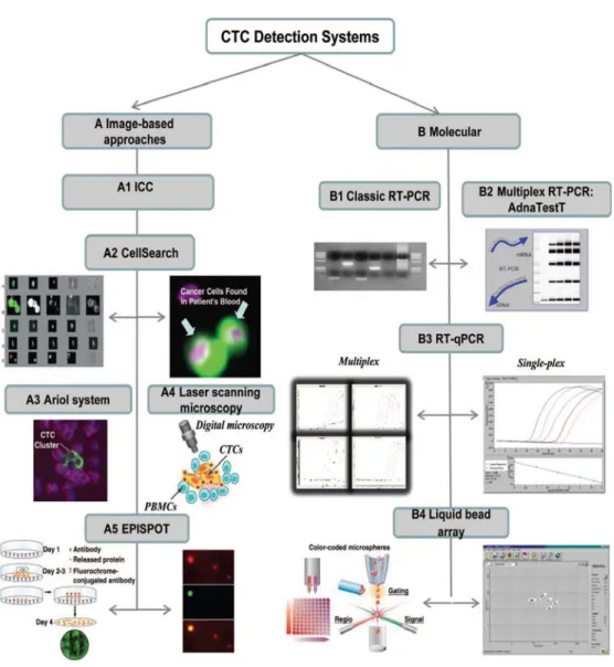 Figure 6 : Les techniques de détection des CTC.  