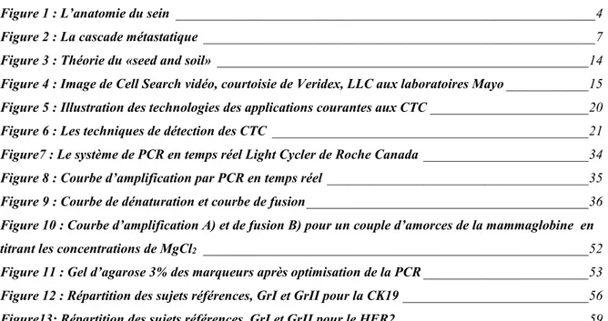 Figure 1 : L’anatomie du sein _____________________________________________________________ 4 Figure 2 : La cascade métastatique _________________________________________________________ 7 Figure 3 : Théorie du «seed and soil» ______________________________________________________ 14 Figure 4 : Image de Cell Search vidéo, courtoisie de Veridex, LLC aux laboratoires Mayo ____________ 15 Figure 5 : Illustration des technologies des applications courantes aux CTC _______________________ 20 Figure 6 : Les techniques de détection des CTC ______________________________________________ 21 Figure7 : Le système de PCR en temps réel Light Cycler de Roche Canada ________________________ 34 Figure 8 : Courbe d’amplification par PCR en temps réel ______________________________________ 35 Figure 9 : Courbe de dénaturation et courbe de fusion _________________________________________ 36 Figure 10 : Courbe d’amplification A) et de fusion B) pour un couple d’amorces de la mammaglobine  en  titrant les concentrations de MgCl 2  ________________________________________________________ 52