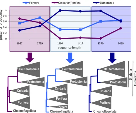 Figure 7 – Retrait progressif de sites h´ et´ erop´ ecilles sous le mod` ele CAT+Γ 4 et