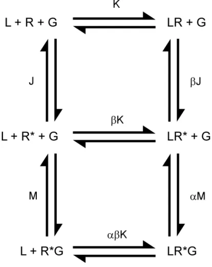 Figure 7. Modèle du complexe ternaire étendu. Les récepteurs (R)  forment des complexes 