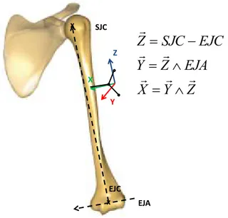Figure 9: Repère anatomique de l’humérus centré sur  le point moyen des marqueurs de la tige intra-corticale