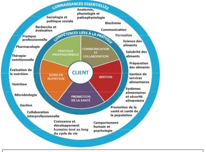 Figure 1 : Diagramme des connaissances essentielles en diététique 