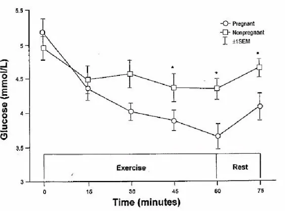 Figure 2 - Concentrations de glucose sanguin durant une séance d'exercice. Les femmes non  enceintes présentent une certaine stabilisation de leur taux de glucose sanguin lors de l'activité  physique prolongée, alors que chez les femmes enceintes le taux diminue au fur et à mesure de 