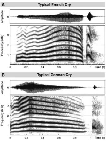 Figure 4 - Forme d'onde temporelle et spectrogramme des pleurs français et allemands  (Mampe et al., 2009) 