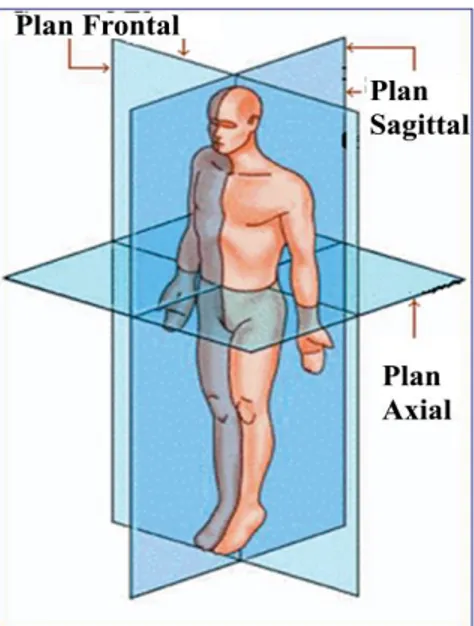 Figure 4: Les rayons X d’une jeune fille de 14 ans avec une scoliose de 90°.      (a) Vue postéro-antérieure avec un angle de Cobb indiquée