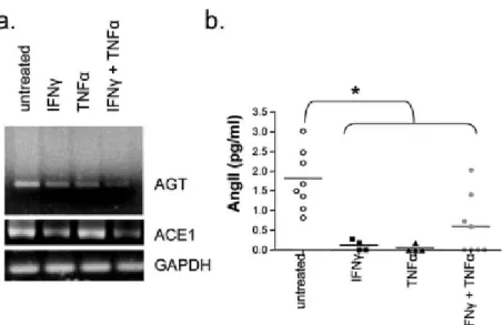 Figure  4:  Pro-inflammatory  cytokines  disrupt  angiotensin  production  by  astrocytes  in  vitro 