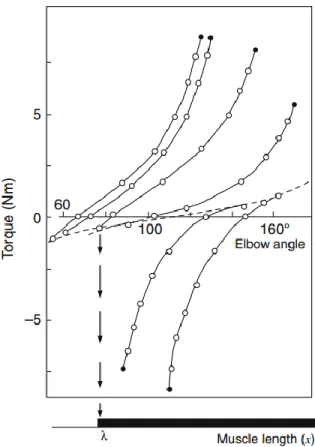 Figure 1.5 : Relation entre le moment de force et l’angle du coude pour plusieurs points d’équilibre initiaux lors 