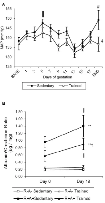 Figure  3 1.  Effect  of  training  and  genotype  on  mean  arterial  pressure  (MAP)  and  proteinuria