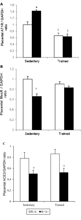 Figure  6 4. Modulation of placental AT1R, MasR and ACE2 protein expression by a SPE  and ExT