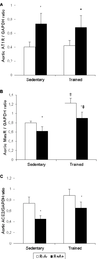 Figure  7 5. Effect of SPE-like phenotype and exercise on aortic AT1R, MasR and ACE2  protein expression, respectively