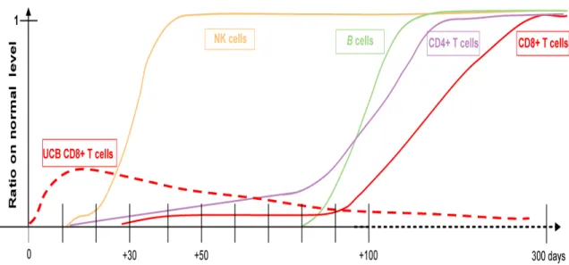 Figure  1.5 :  Cinétique  de  la  reconstitution  immunitaire  chez  les  patients  pédiatriques  après  TCH  de  sang  de  cordon (Merindol, Charrier et al