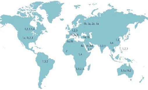 Figure 1.6  : Distribution mondiale des génotypes du VHC (adaptée de Kamal 2006).                     Les  génotypes  1,  2  et  3  sont  présents  dans  le  monde  entier
