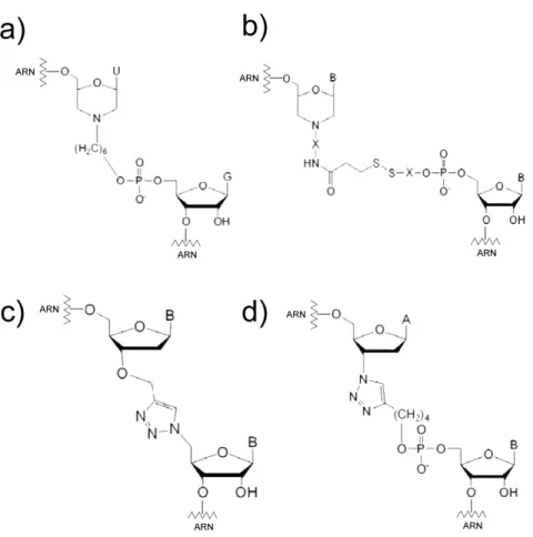 Figure 14 : Liaisons covalentes non-naturelles introduites par ligations chimiques.  Plusieurs stratégies de ligation chimique introduisent des liaisons non-naturelles à  l’intérieur de la chaîne principale des ARN ligués