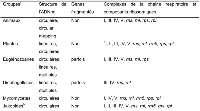 Tableau I. Structures et fonctions de gènes mitochondriaux.  Groupes c Structure  de 