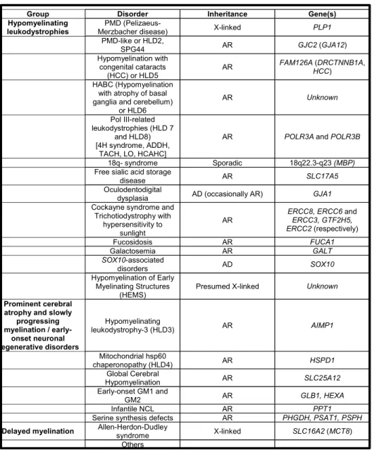 Table IV: Leucodystrophies hypomyélinisantes. 